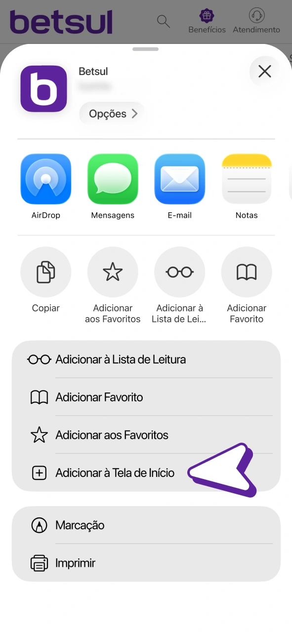 Adicione Betsul à tela inicial para obter o aplicativo PWA para iOS.